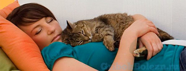 Кошка спит на человеке