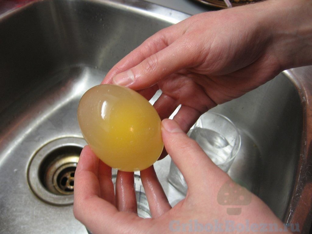 яйцо в уксусе